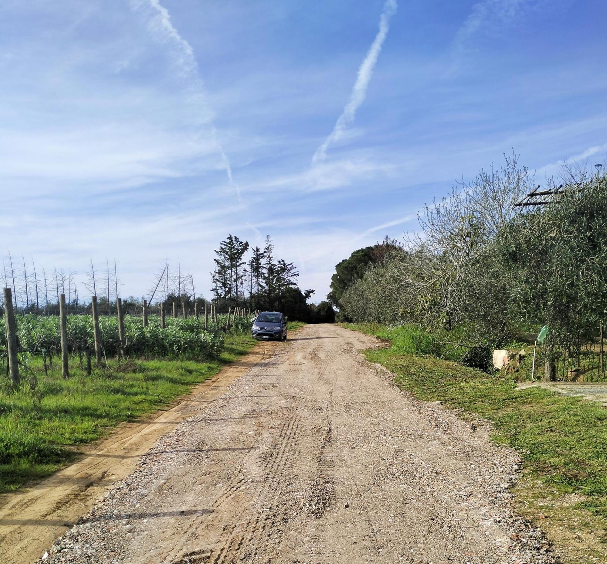 Villetta Fedora Immersa Nel Verde Cecina  Exterior foto