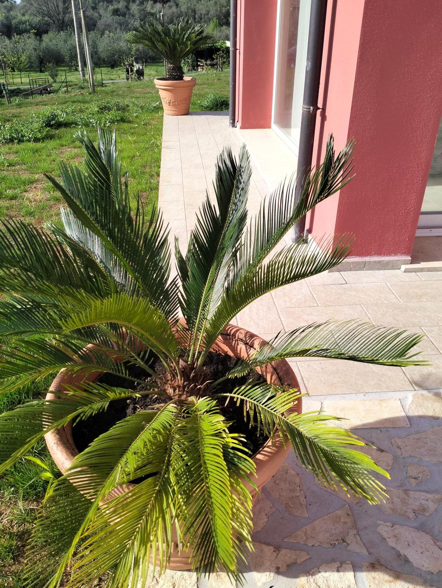 Villetta Fedora Immersa Nel Verde Cecina  Exterior foto